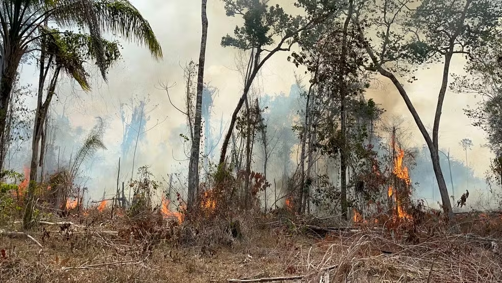 como Roraima se tornou o estado com maior número de incêndios em fevereiro de 2024